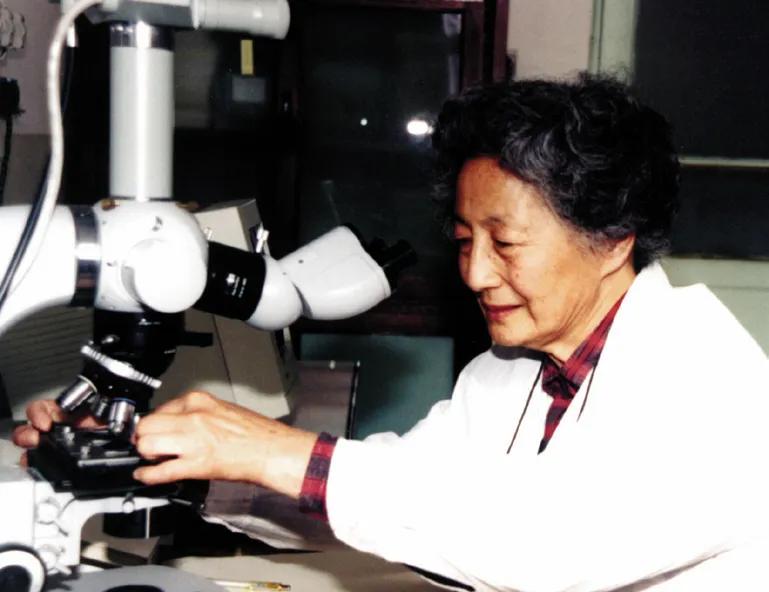 郑儒永在显微镜前工作。图片来源：中国科学院院士文库