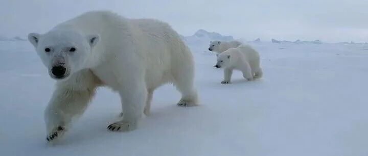 规模最大，四船连发！新华社独家图文详解