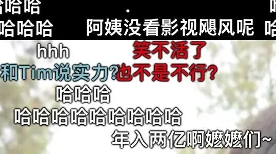 （图/影视飓风视频截图）