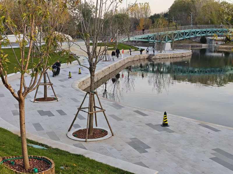 11月10日，记者来到北小河滨水空间，市民反映部分步道没有护栏，据悉该点位正在搭建浮箱码头。新京报记者 王巍 摄