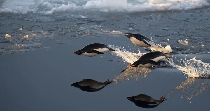 老俞闲话丨新东方32岁生日快乐！