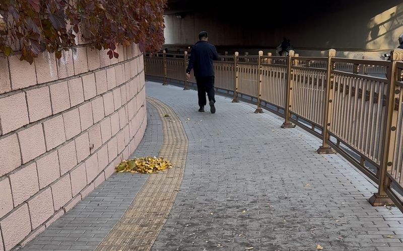 11月14日，公主坟地铁站C口附近，环卫工人将银杏叶和果实聚成小堆，避免行人踩到。新京报记者 王景曦 摄