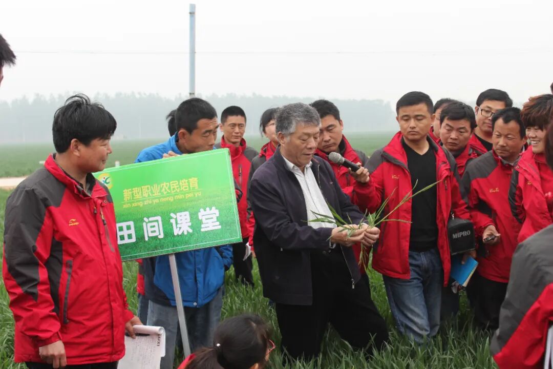 王法宏研究员（中）在田间培训新型职业农民。