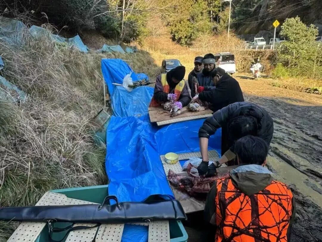日本职场前后辈等级制度森严，年龄最小的道一需要负责解剖猎物。图 / 讲述者提供