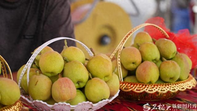 库尔勒市库尔楚园艺场梨园里，刚采摘下来的香梨黄中泛红，非常诱人（资料图）。库尔勒市融媒体中心供图