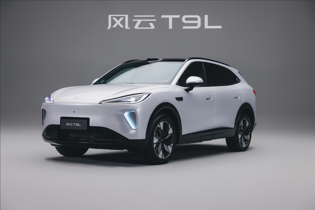 【智美大五座SUV风云T9L】