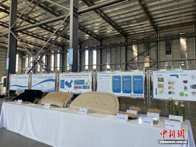 图为用竹纤维材料生产的各类汽车内饰部件。林馨 摄