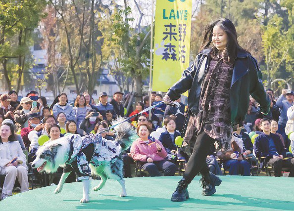 “宠物友好地图”来了