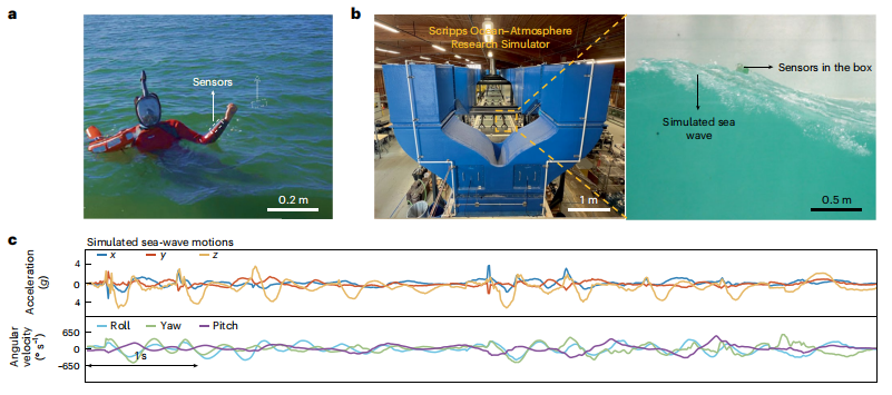 图丨抗噪声的人机界面在海浪中的应用（来源：Nature Sensors）