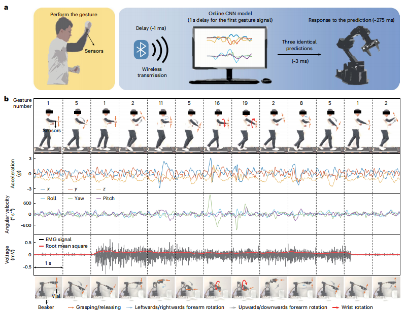 图丨实时机械臂控制与运动伪影（来源：Nature Sensors）