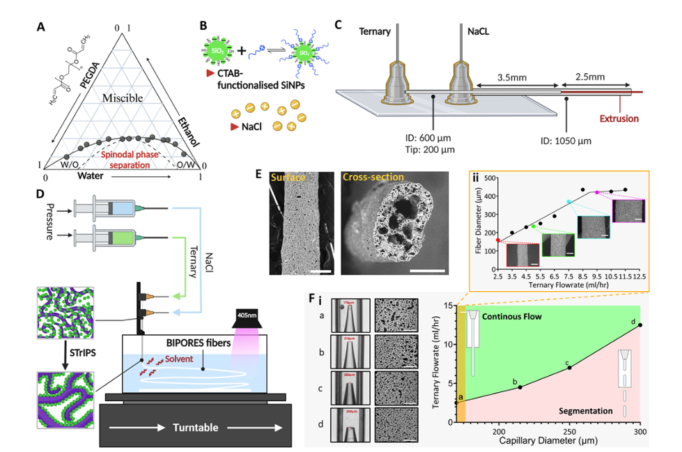 图 | BIPORES 工艺流程图（来源：团队论文）