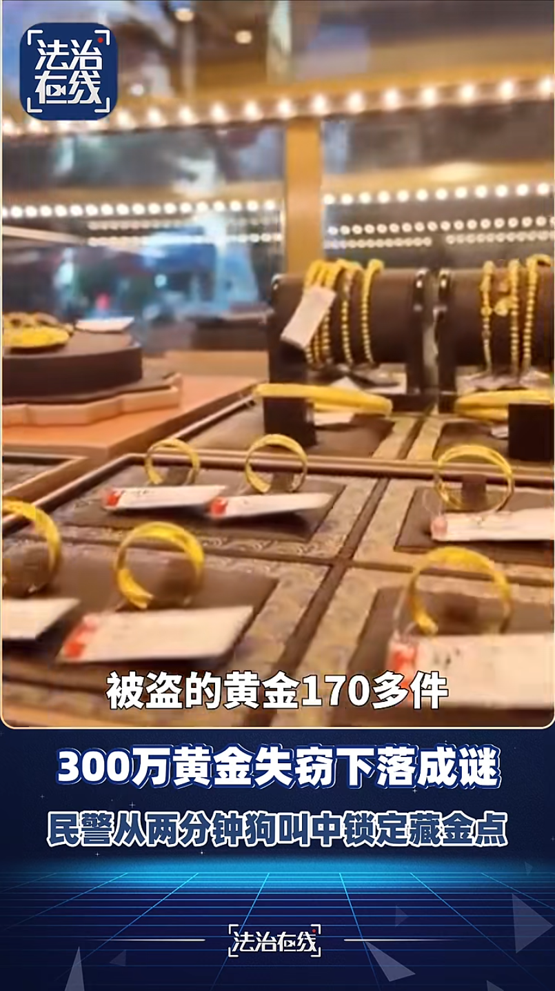 男子盗走300万黄金，被抓后拒不吐露藏匿地点，警方凭狗叫声找到线索