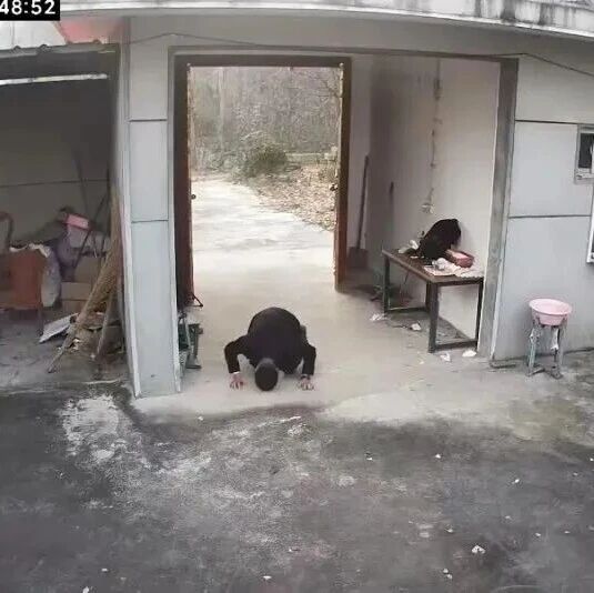 80后男子跪别老宅，为何戳中泪点