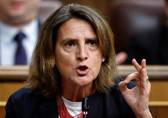 特蕾莎・里贝拉