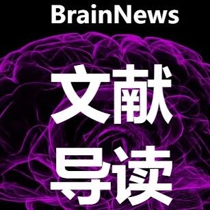 NeurIPS 2025:弭元元/陈霓虹联合揭示序列依赖效应的双重神经可塑性机制|心理学|突触|贝叶斯|短时|高层_新浪新闻