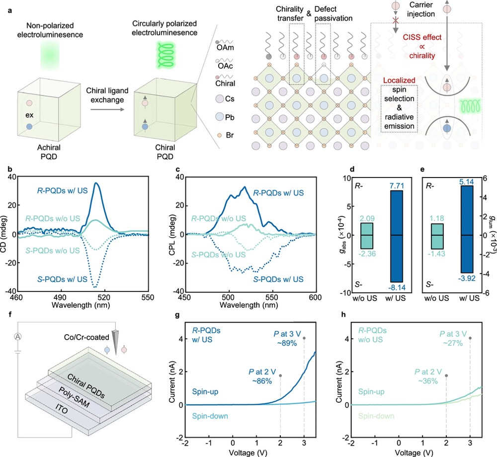 图丨手性钙钛矿量子点的优化与自旋选择性机制（来源：Nature Communications）