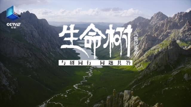 生命树同名纪录片描绘壮美图景|生命树|纪录片|生命之树_新浪新闻
