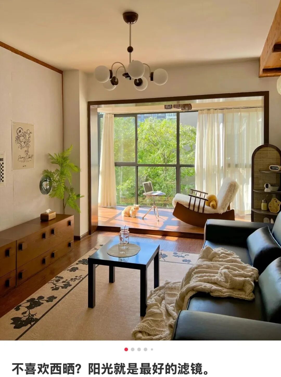 图源：每日雪莉