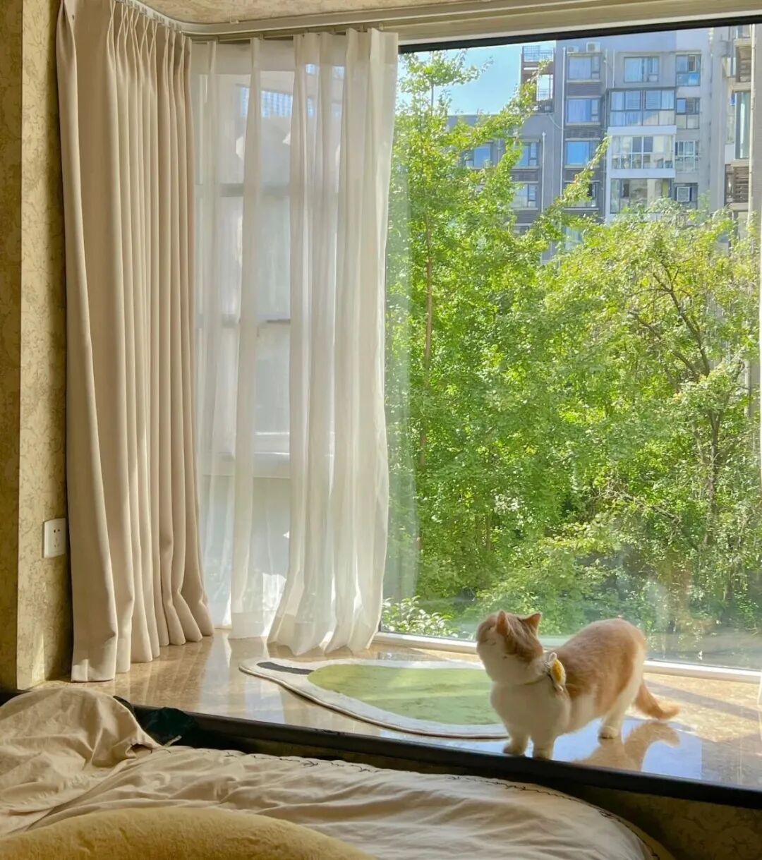 图源：每日雪莉