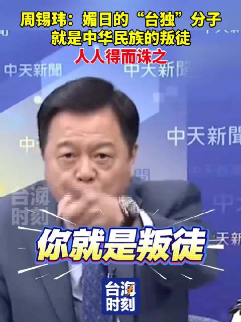 周锡玮称“台独”就是叛徒