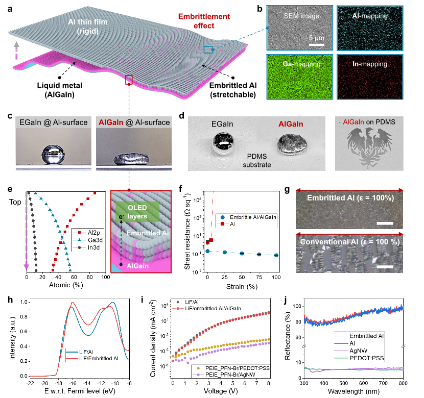 （来源：https://www.nature.com/articles/s41563-025-02419-z）