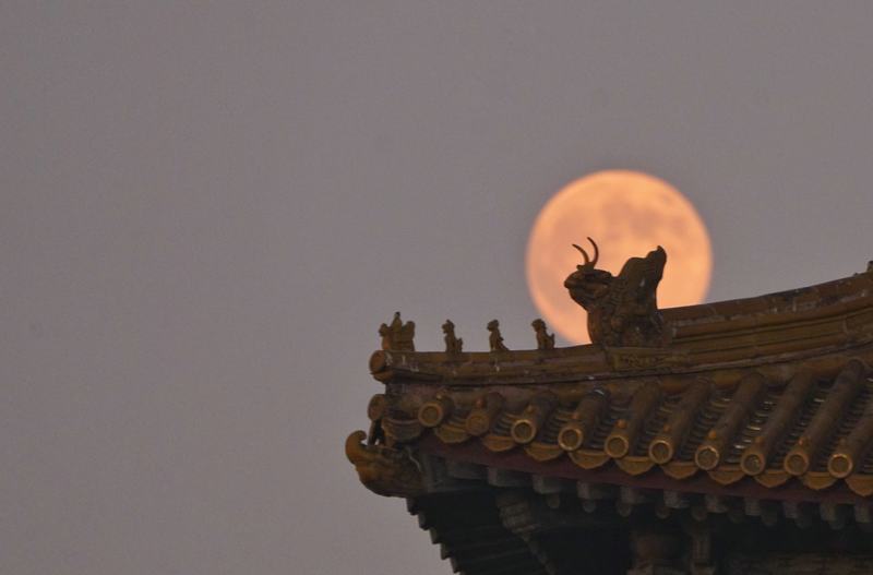 11月5日，故宫角楼，“超级月亮”爬上角楼。新京报记者 薛珺 摄