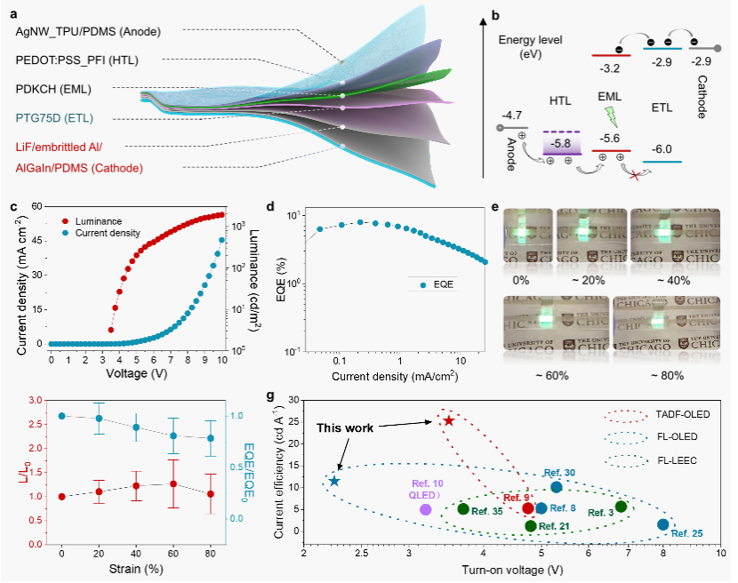 （来源：https://www.nature.com/articles/s41563-025-02419-z）