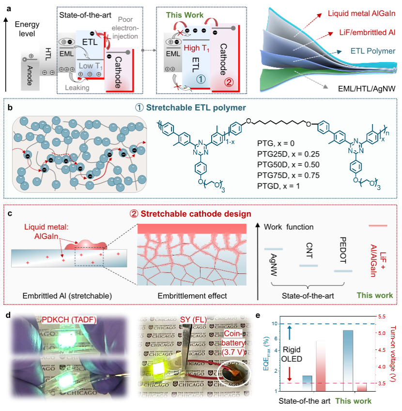 （来源：https://www.nature.com/articles/s41563-025-02419-z）