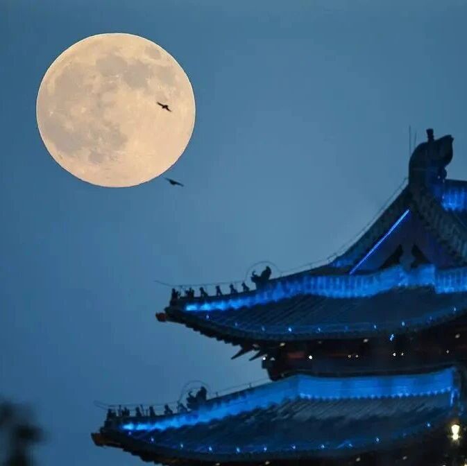 不以年龄大小为准吗