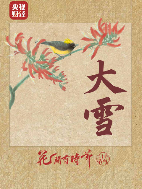 大雪将至天寒人暖 万物藏冬惟愿君安_新浪新闻