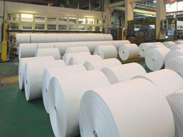 Analysis of the Uptrend Drivers and Investment Opportunities for Bohui Paper (600966.SS)