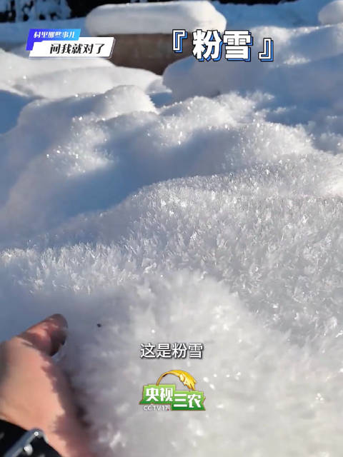 你玩过几种?雪有这么多种形状_新浪新闻