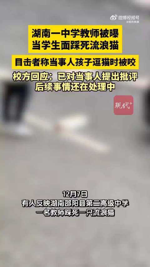 中学教师当学生面踩死流浪猫校方称已批评|邵阳市|邵阳|湖南省|体育|小猫_新浪新闻