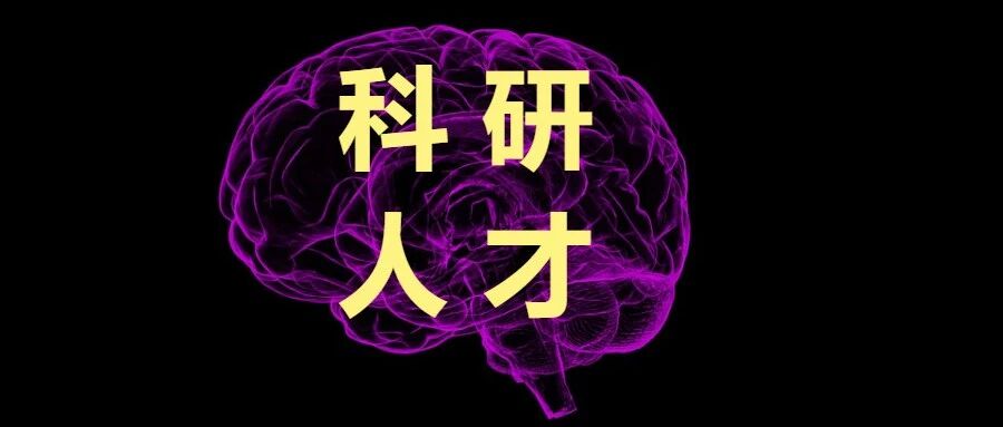 专访丹扬教授 | 不是归来,是再出发|深圳市|广东省|科研|科学家|睡眠_新浪新闻