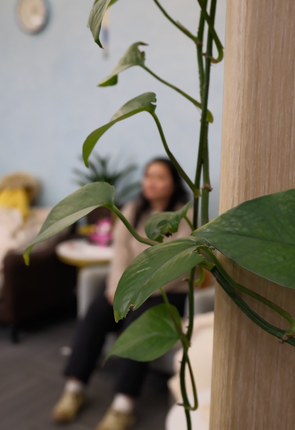 北大本科入学却以专科毕业，她花了十年与“失败”和解