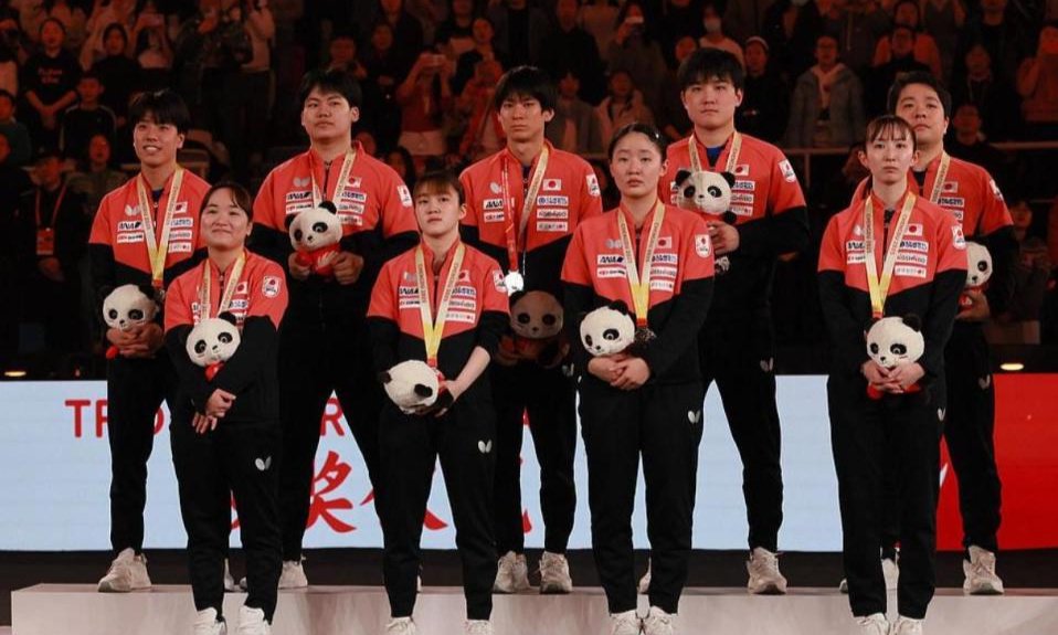 张本智和遇窘境：张本兄妹被国乒重创，夹在日本和中国球迷间受气