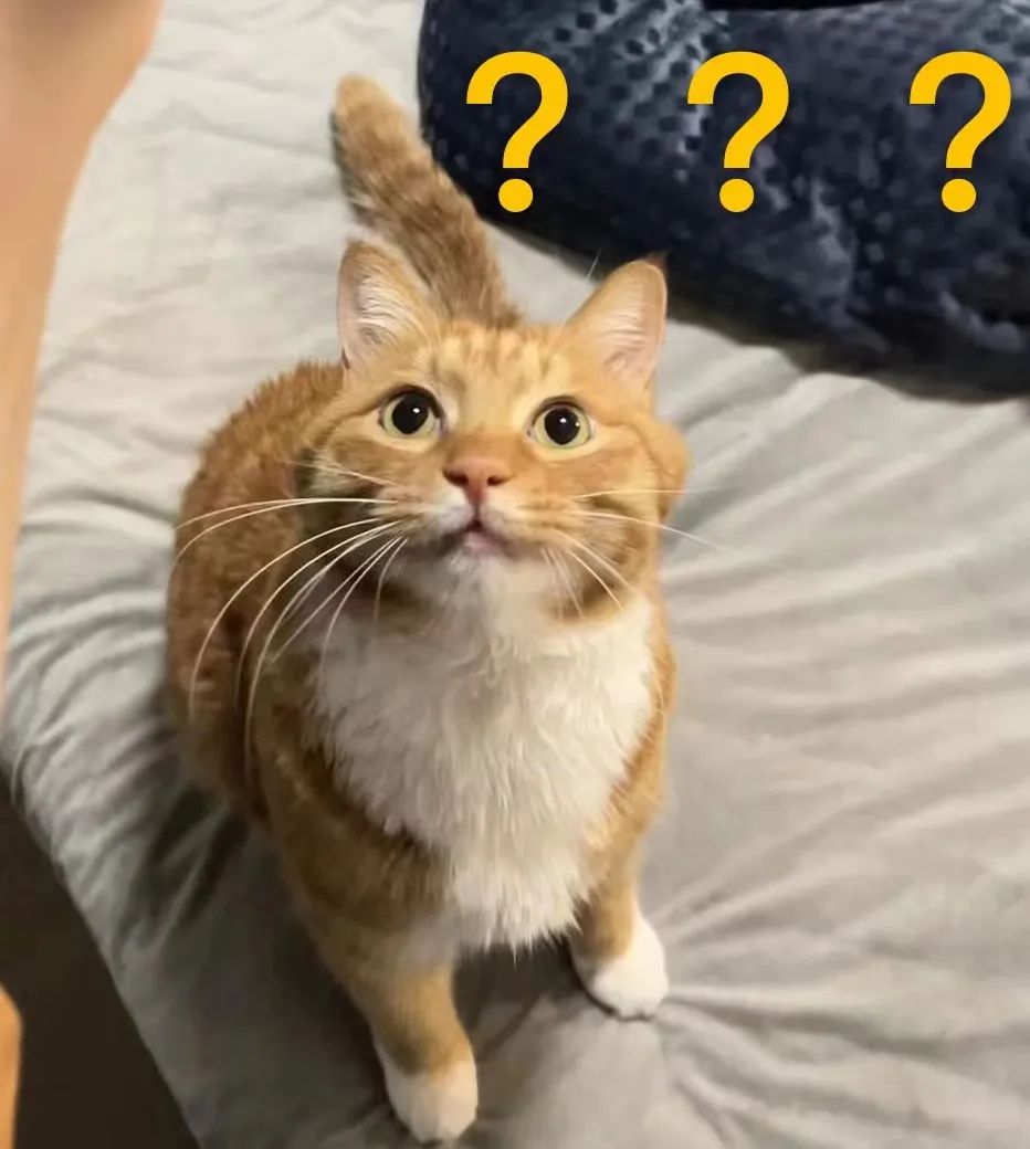 婚前彩礼和嫁妆给到女方，婚后换了一家银行存，这笔钱算夫妻共同财产吗？