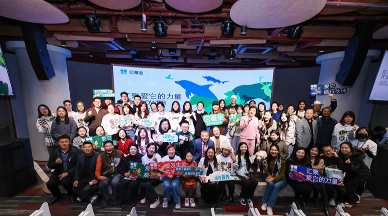 活动现场。主办方供图