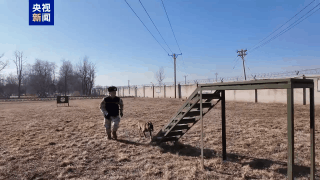 △训练时的“兰博”