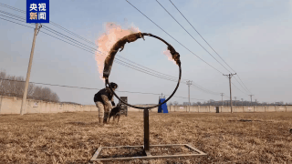 △训练时的“安妮”