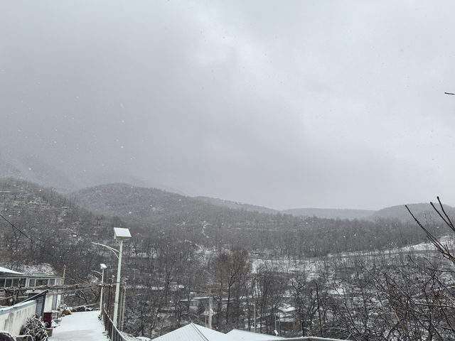 12月12日清晨，海拔千米的房山区蒲洼乡东村降雪，漫山松枝裹银纱，蜿蜒的山脊步道若隐若现。隗心怡摄