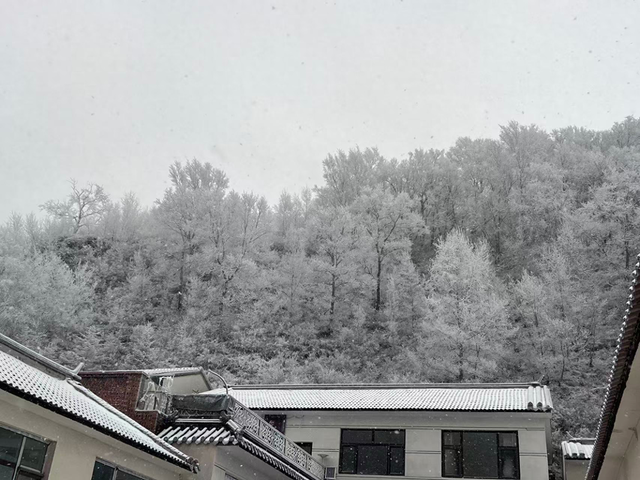 有着京西小雪乡之称的门头沟区清水镇江水河村12月12日一早迎来降雪。鲁琪 摄