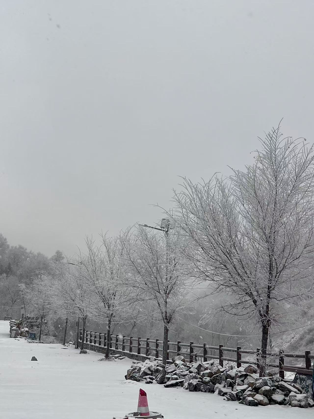 有着京西小雪乡之称的门头沟区清水镇江水河村12月12日一早迎来降雪。鲁琪 摄