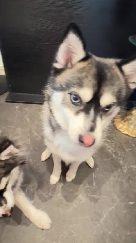 宝坻seo排名咨询电话