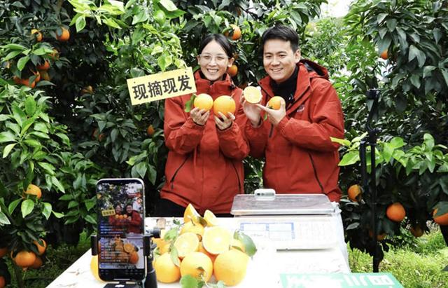 好评中国丨城乡双向奔赴 民生扎根结果