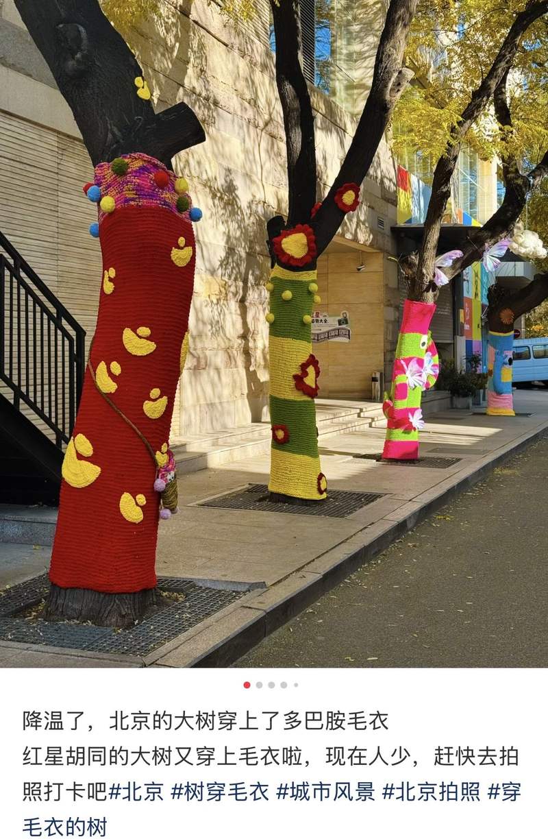 图片来自某社交媒体截图