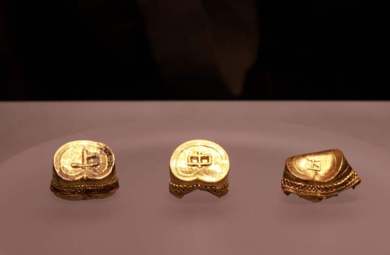 马蹄金。新京报记者 郭延冰 摄