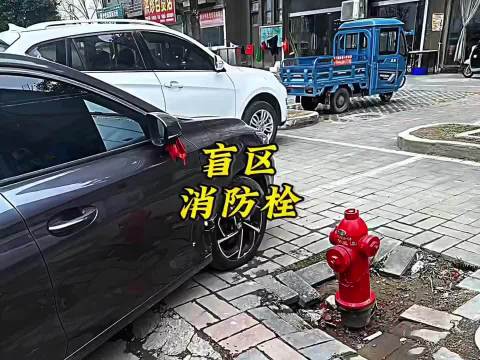 消防栓前停<em>车</em>被指不合理，<em>车</em>主被要求修<em>车</em><em>长</em>记性