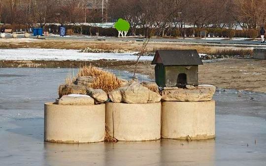 冬季湖中水位下降并结冰，石墩露出水面。新京报记者 王巍 摄