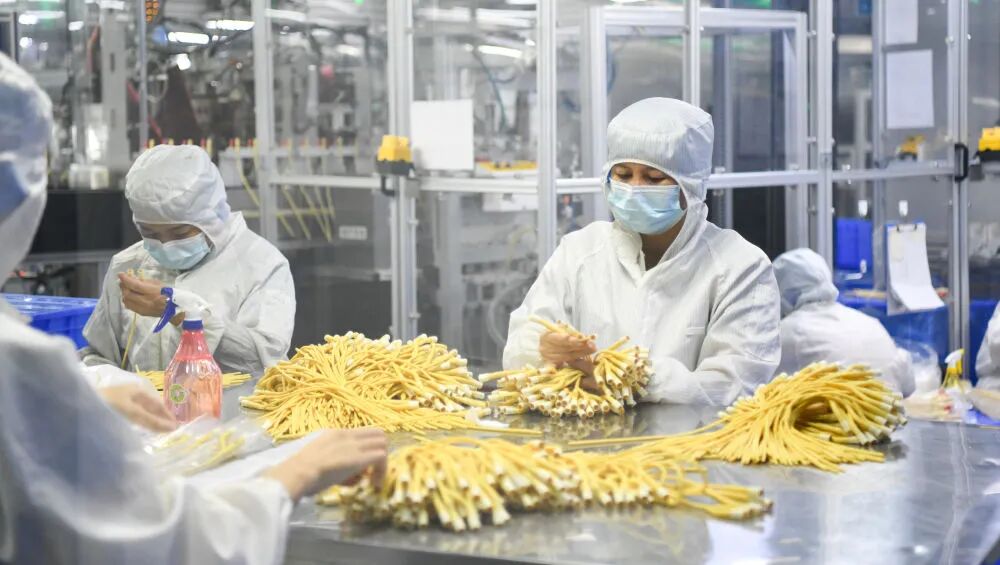 ������Ա�ں���ά��ҽ�ƿƼ��������޹�˾���������﹤����2025��5��21���㣩���»������ ����� ��